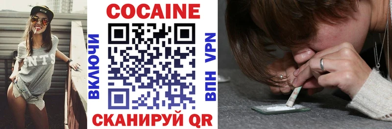 Купить закладки  Канск  Cocaine 99% 