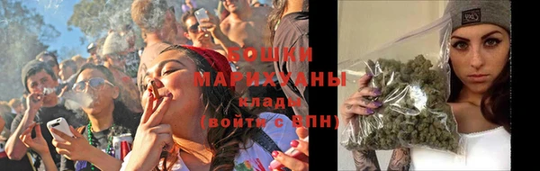 дурь Краснослободск