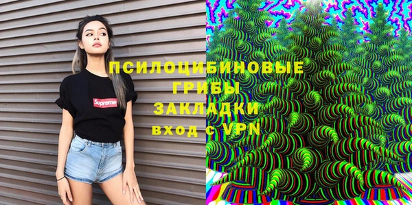 дурь Краснослободск