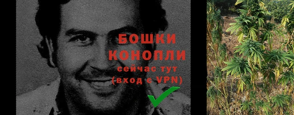 дурь Краснослободск