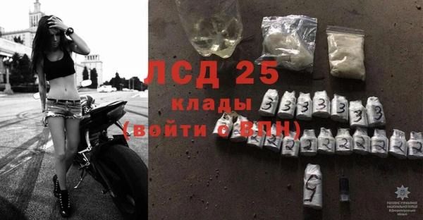дурь Краснослободск