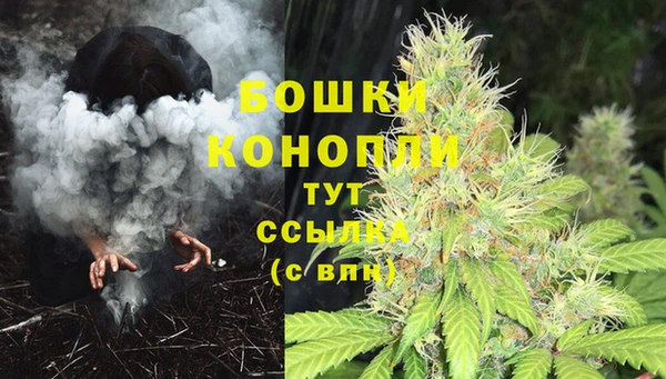 дурь Краснослободск
